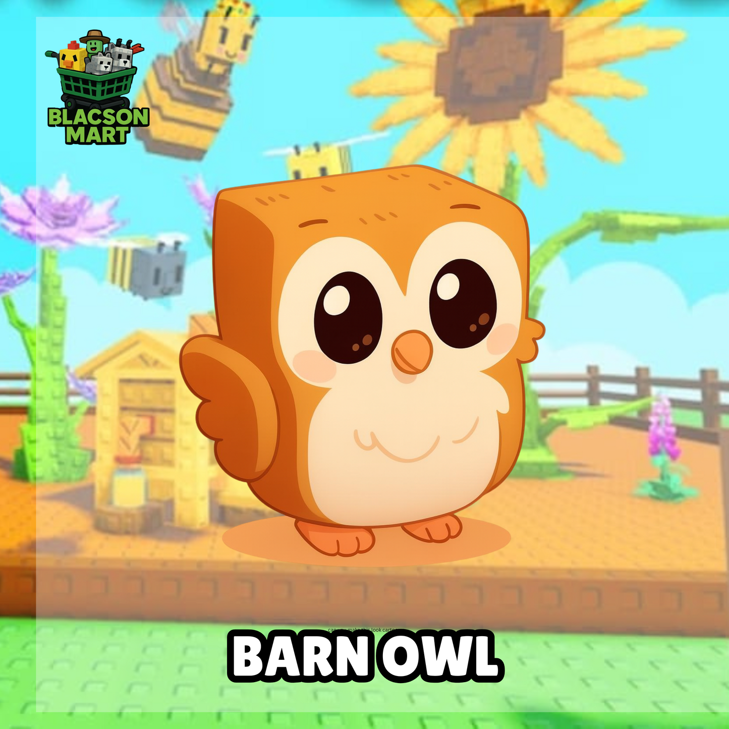 Barn Owl