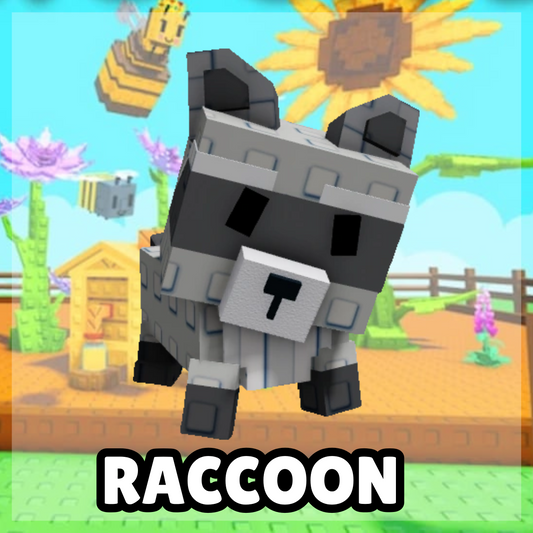 Raccoon