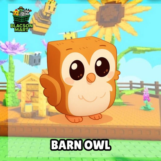 Barn Owl